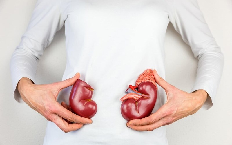 Nước dừa ngăn ngừa sỏi thận