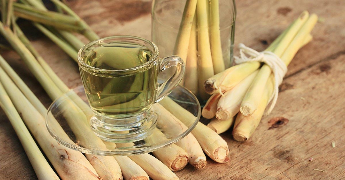 12 tác dụng tuyệt vời của nước sả đến sức khoẻ có thể bạn chưa biết