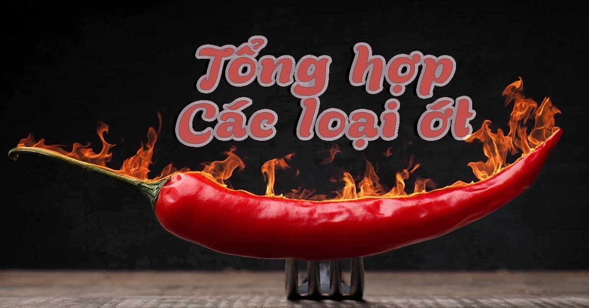 Tên các loại ớt ở Việt Nam, nhiều loại độc đáo có thể bạn chưa biết