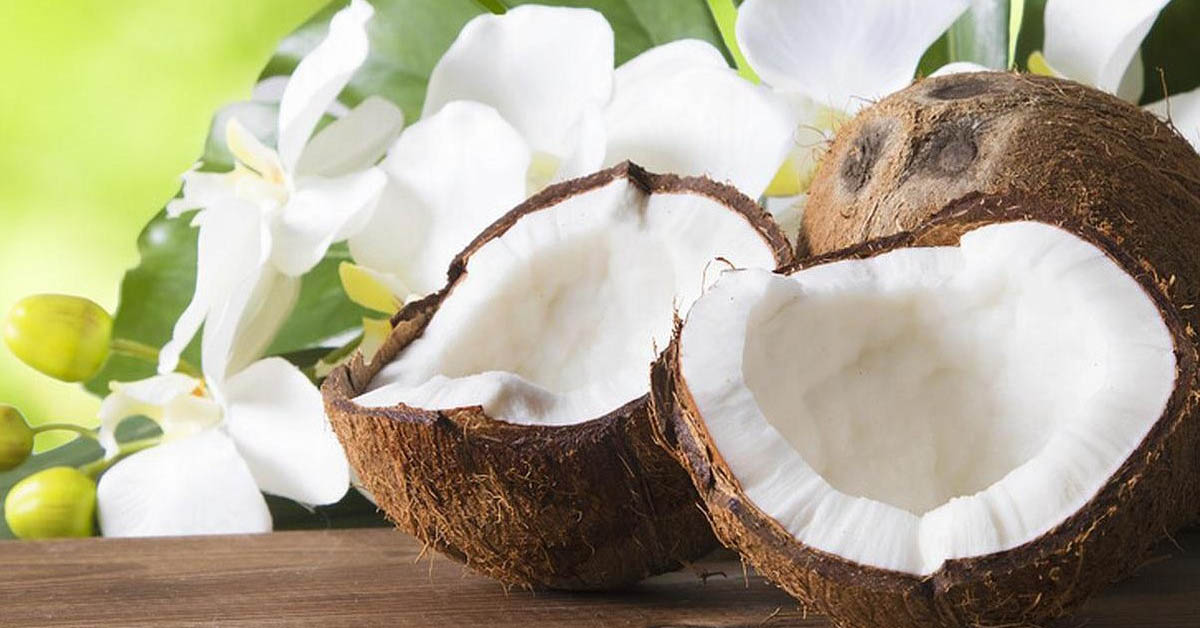 6 Tác dụng của cùi dừa với sức khỏe và các món ăn từ cùi dừa