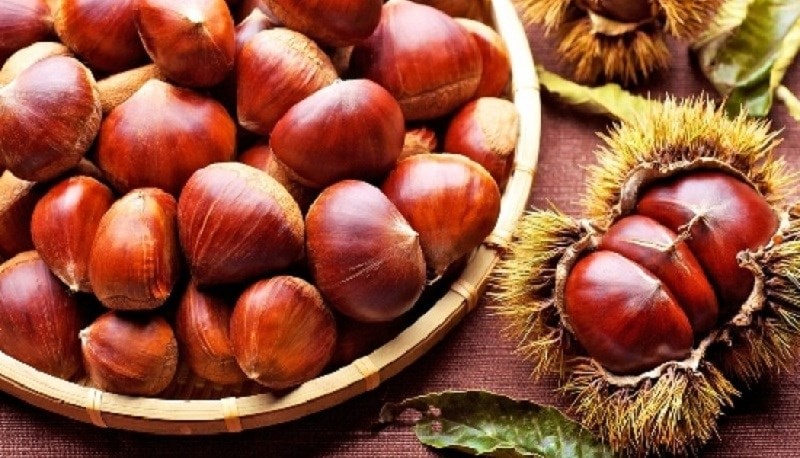 7 tác dụng của hạt dẻ với sức khỏe, các lưu ý khi dùng hạt dẻ