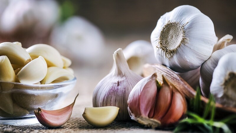 Nguồn gốc của tỏi
