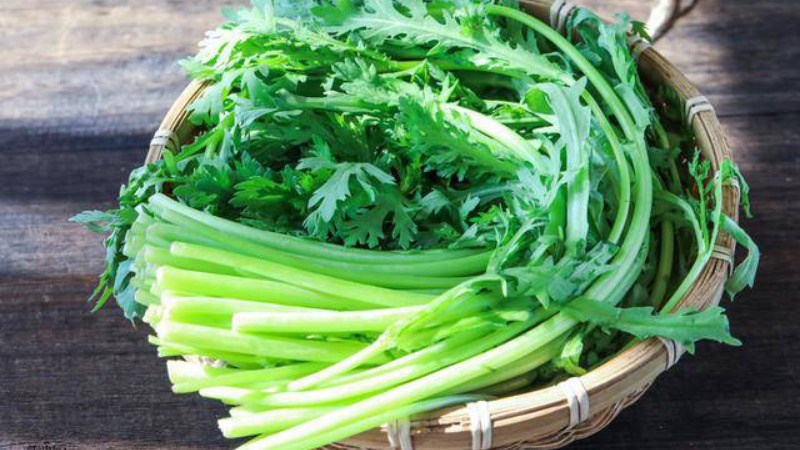 Thành phần dinh dưỡng của cải cúc
