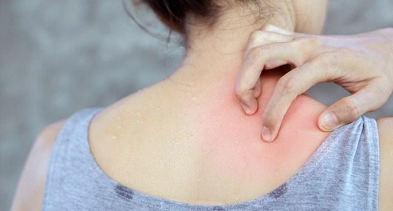 Đu đủ xanh có tác dụng gì? Tác dụng và tác hại của quả đu đủ xanh