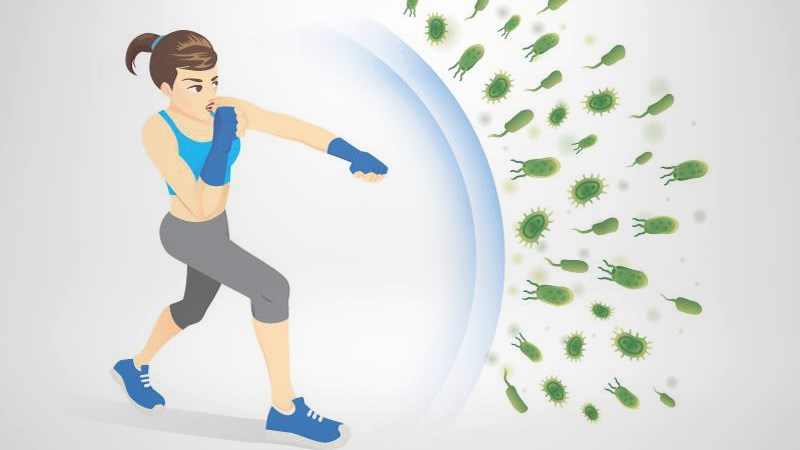 Cải ngồng cải thiện hệ miễn dịch