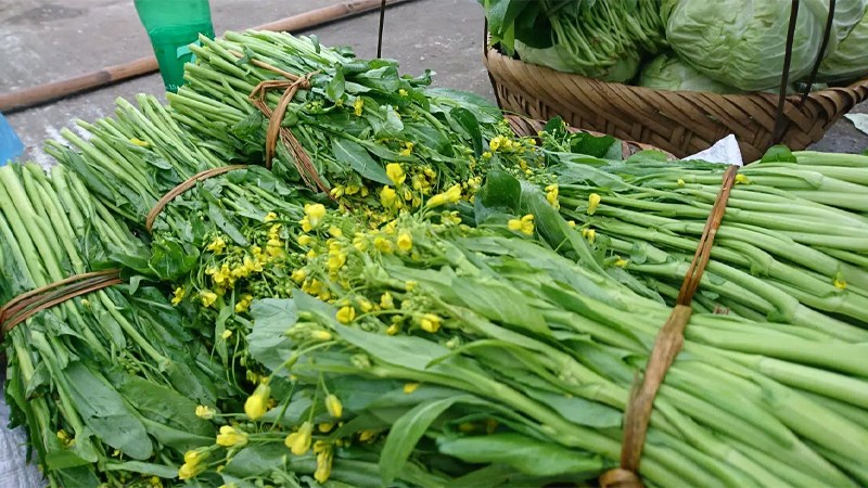 Cải ngồng mua ở đâu, giá bao nhiêu?