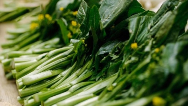 Cải ngồng cung cấp chất xơ