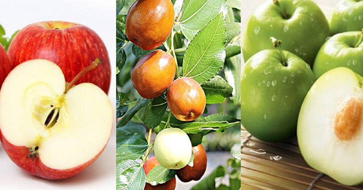 Tác dụng của táo