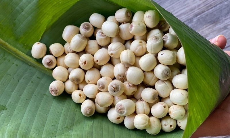 Thành phần dinh dưỡng của hạt sen