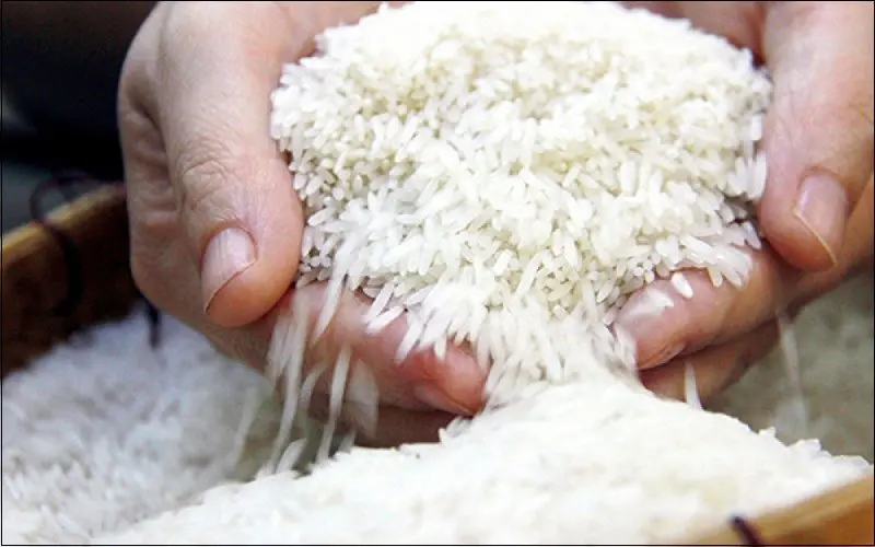 Gạo trắng