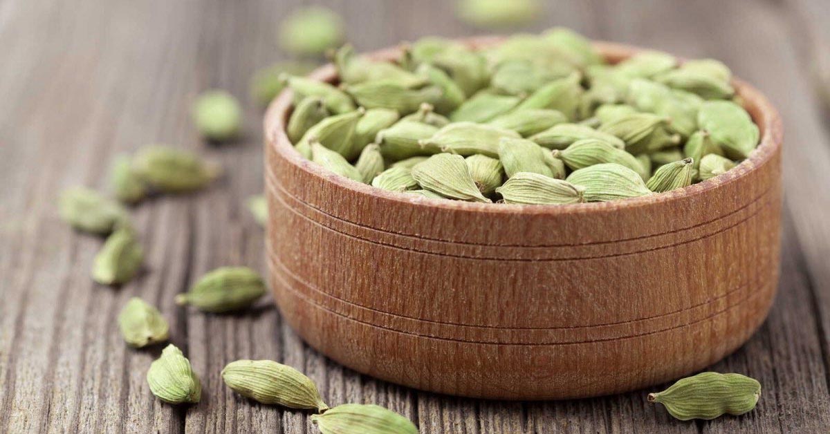 Bạch đậu khấu - cardamom là gì? 8 tác dụng của bạch đậu khấu.