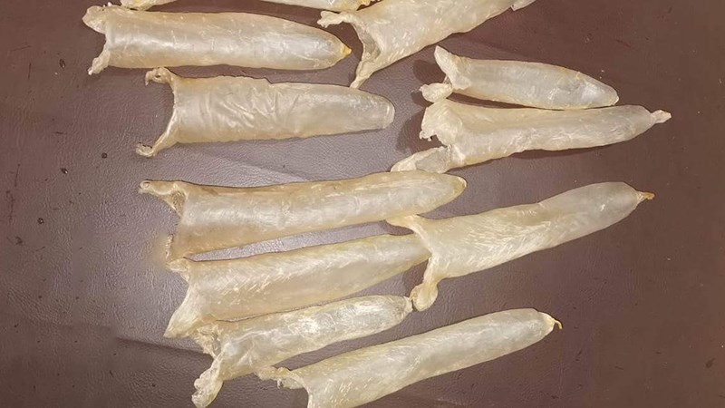 Tác dụng của bong bóng cá