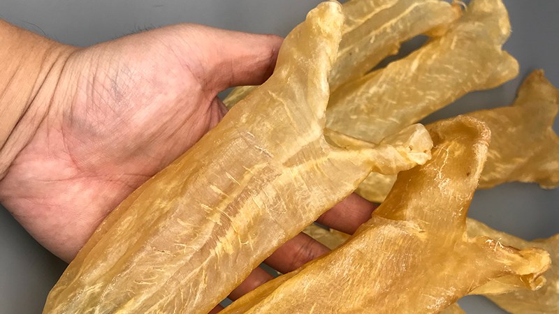 Cách chọn mua bong bóng cá