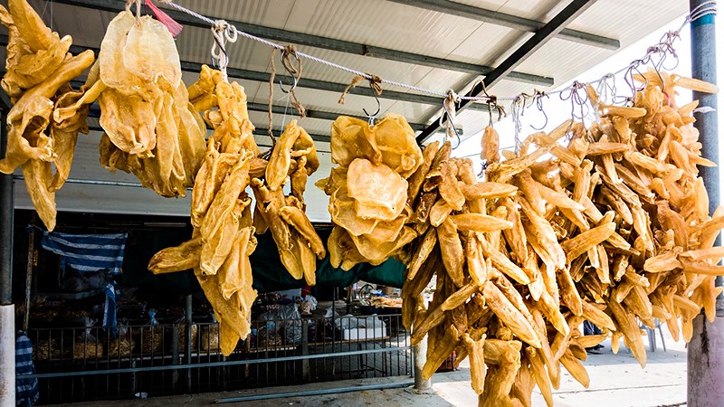 Bong bóng cá giá bao nhiêu, mua ở đâu?