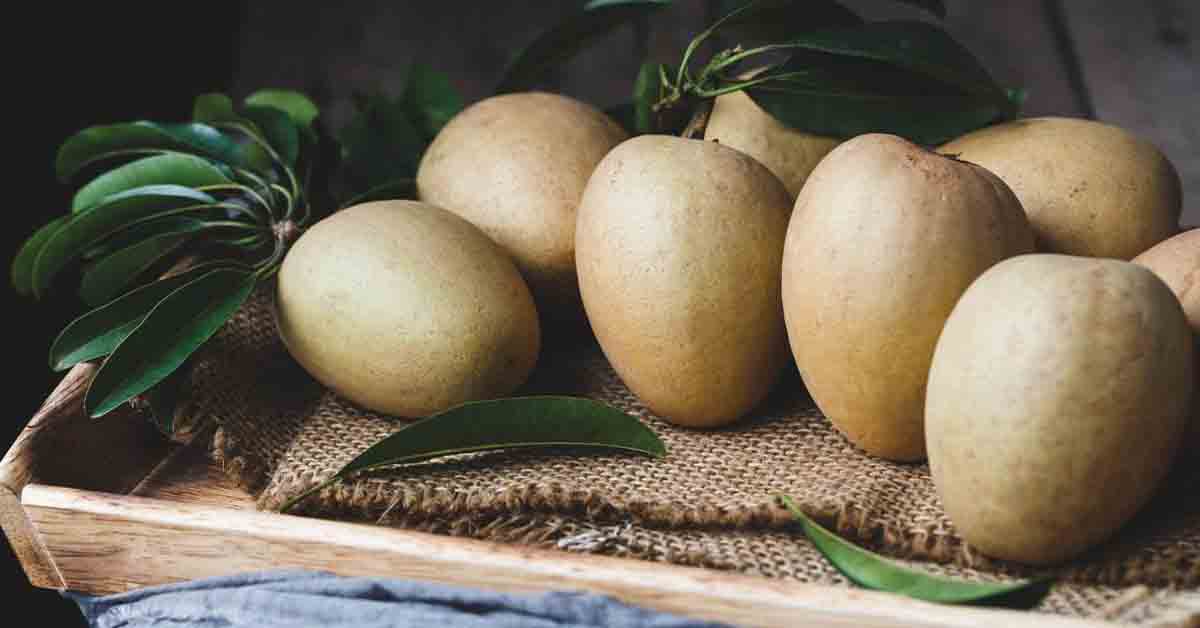 tác dụng của quả hồng xiêm