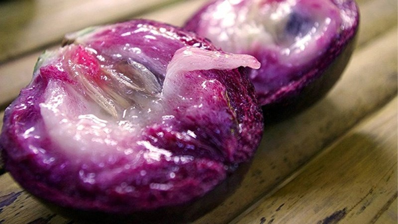 Vú sữa tím