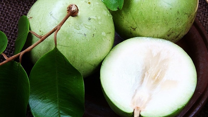 Vú sữa xanh