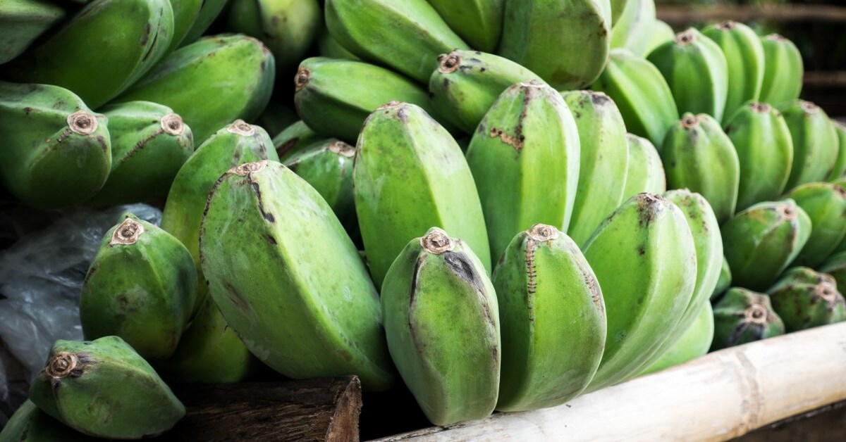 chuối saba là gì