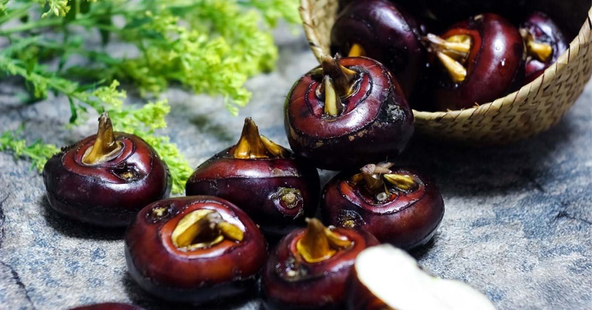 Củ năng là gì? Củ năng có tác dụng gì? Có nên ăn sống không?