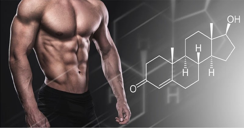 Sâm đất tăng cường testosterol