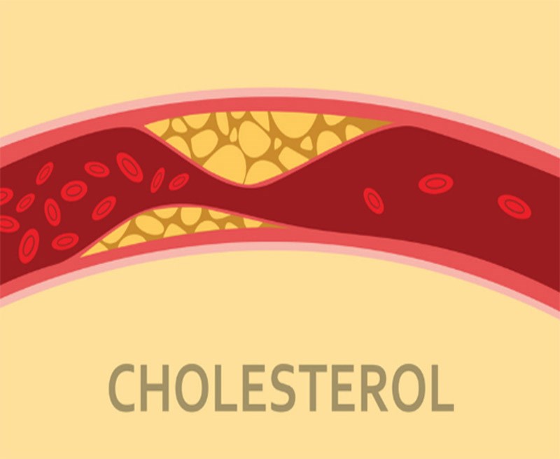 Sâm đất giúp kiểm soát cholesterol