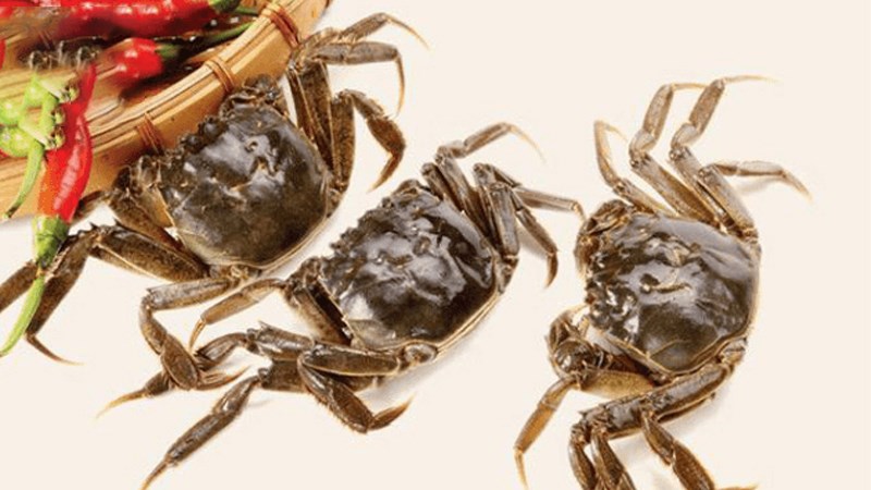 Không nấu canh với cua đồng chết
