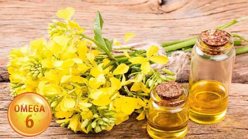 Giàu chất béo Omega 6