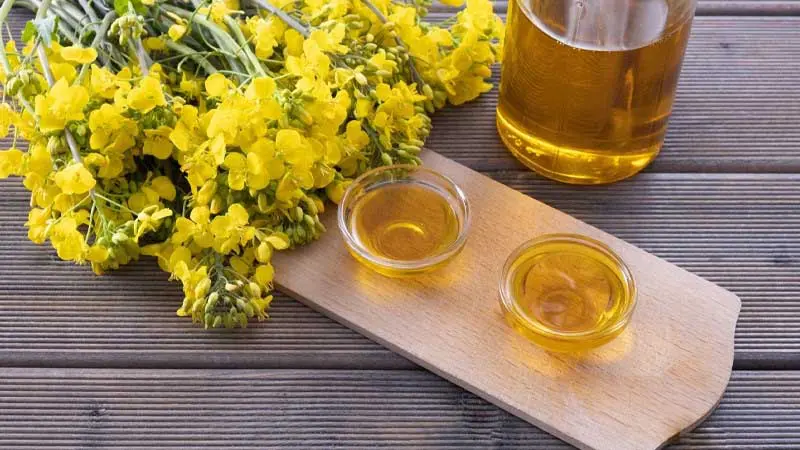 Hàm lượng axit erucic thấp