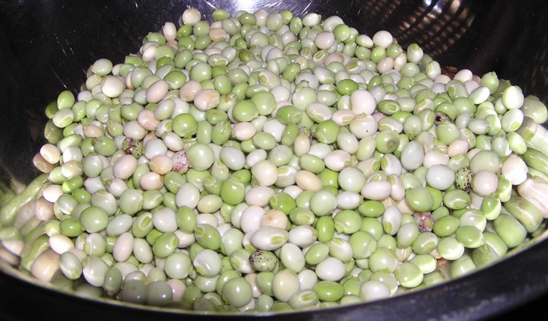 Đậu săng là đậu gì?