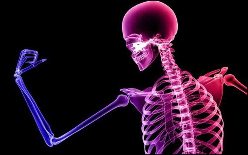 Hỗ trợ các tế bào phát triển