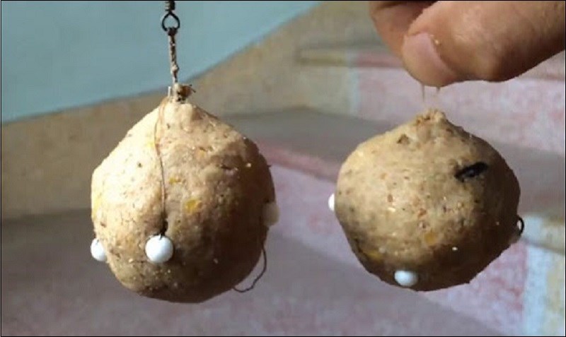 Làm mồi câu cá