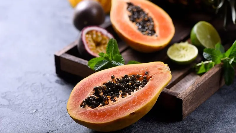 Đặc điểm của hạt đu đủ