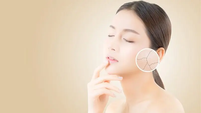 Hạt đu đủ ngăn ngừa lão hóa