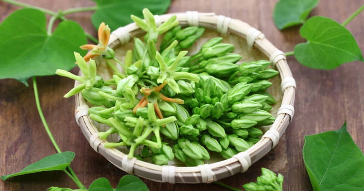 hoa thiên lý có tác dụng gì, tác dụng của hoa thiên lý
