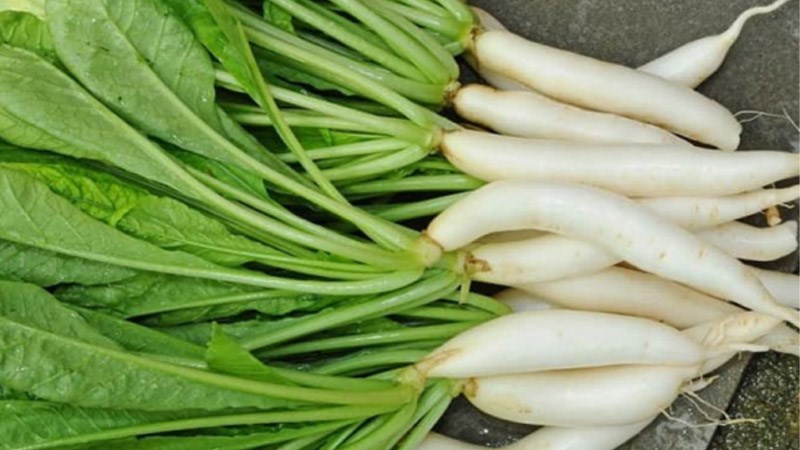 Thông tin về lá củ cải trắng