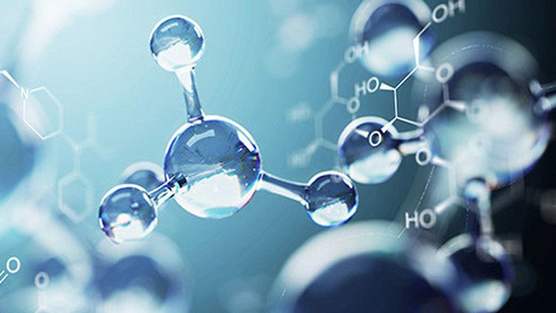 Cung cấp chất chống oxy hóa cho cơ thể