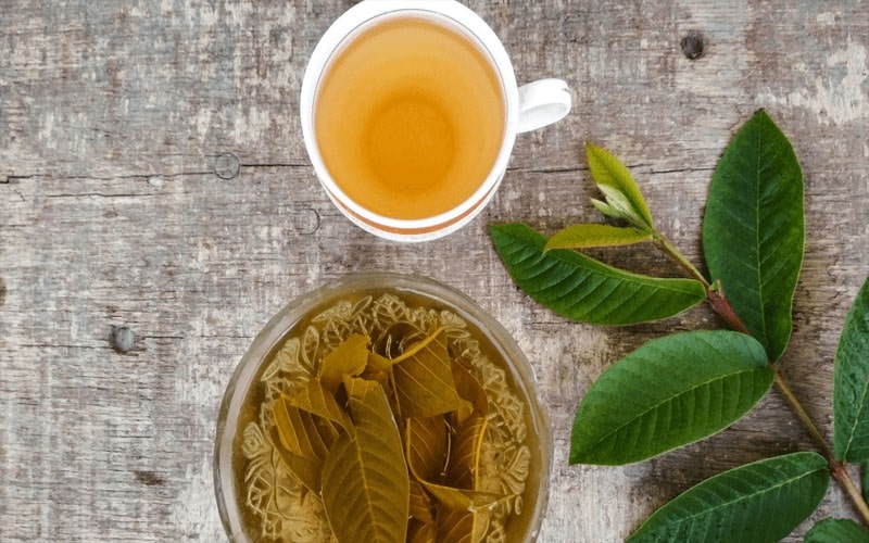 Cách pha trà lá ổi đá
