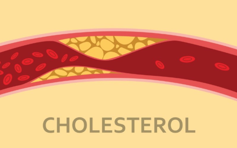 Lá ớt làm giảm cholesterol