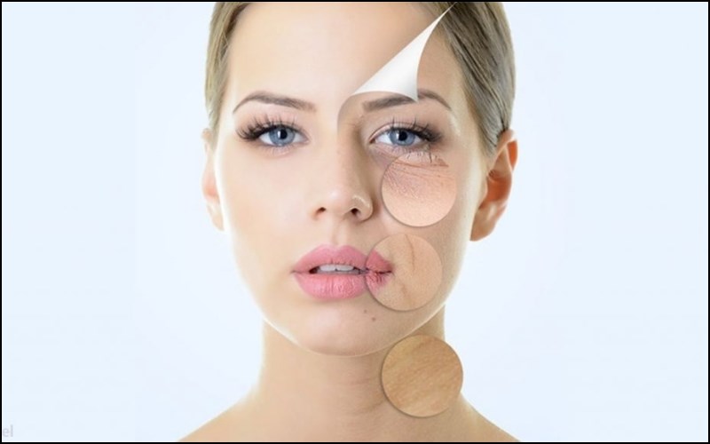Lá ớt giàu chất chống oxy hoá