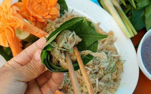 Lá sung có ăn được không?