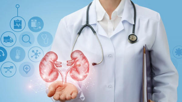 Trị sỏi thận và sỏi mật