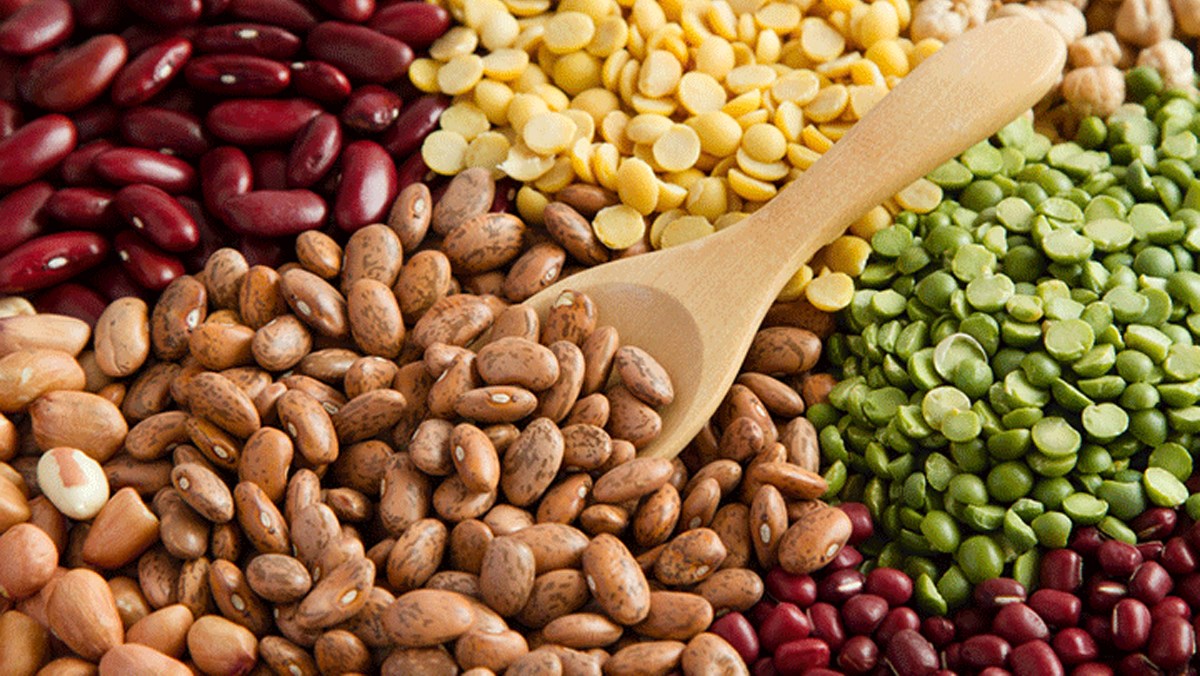 legumes là gì