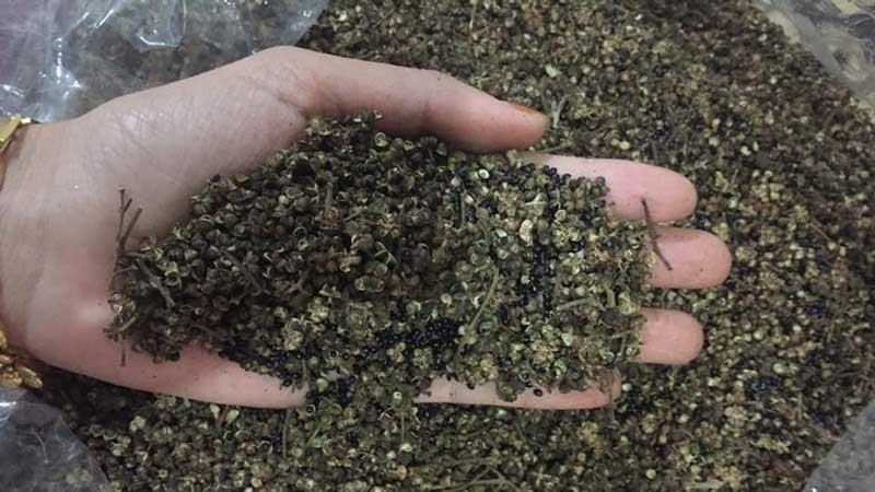 Hạt mắc khén là một gia vị vô cùng phổ biến và quen thuộc của các tỉnh vùng Tây Bắc