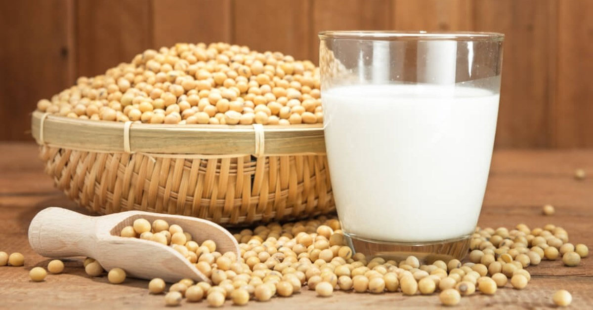 Nam giới uống sữa đậu nành có tốt không? Tác dụng sữa đậu nành Nam giới uống sữa đậu nành có tốt không? Tác dụng sữa đậu nành