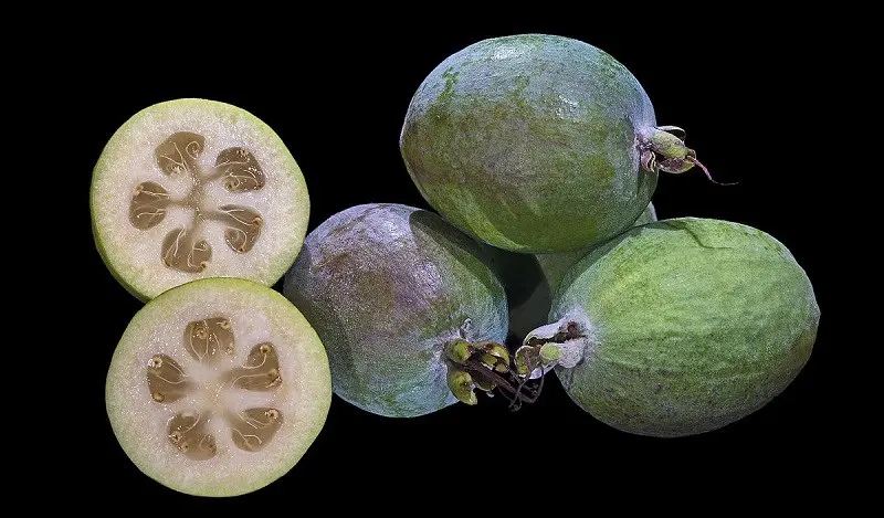 Các loại ổi dứa
