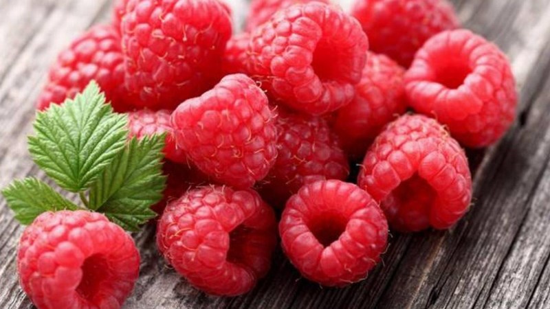 Phúc bồn tử - quả mâm xôi bán ở đâu? Bao nhiêu 1kg?