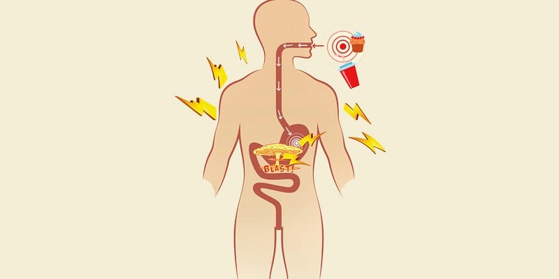 Hỗ trợ trao đổi chất