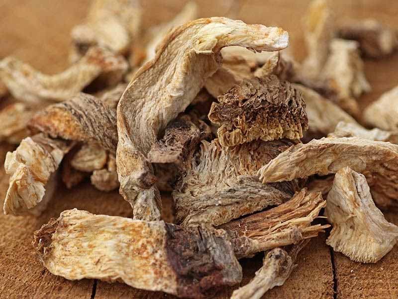 Nơi mua và giá sâm đương quy