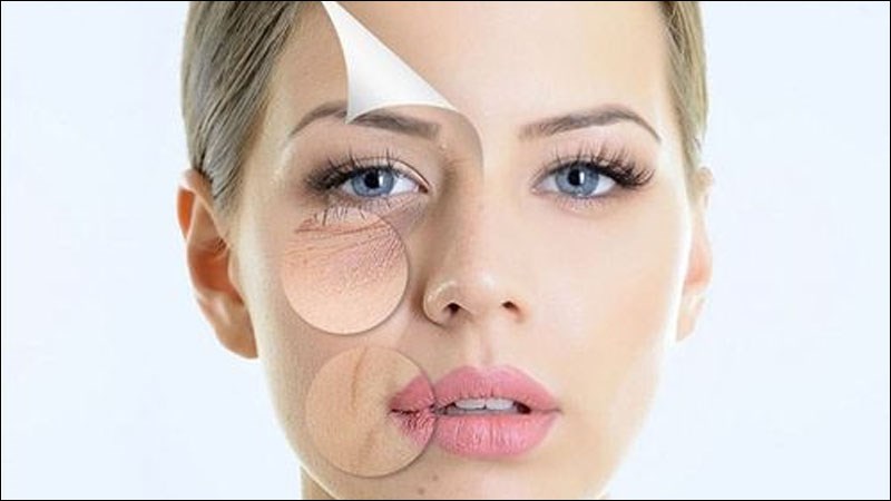 Sâm tố nữ chứa các chất chống oxy hoá