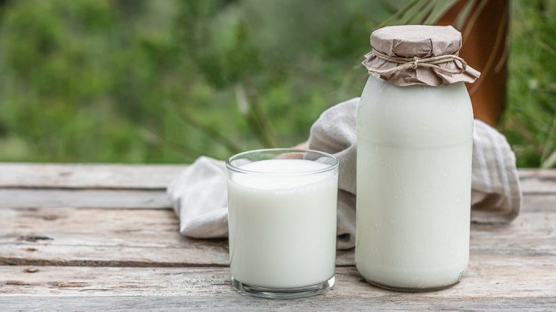 Giá trị dinh dưỡng sữa organic